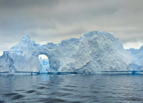 Fotografija 37 - Veliki Gogo na sedmom kontinentu: 'Ako bi Antarktiku trebao opisati riječima, osjećao bi se da abnormalno umanjujem doživljaj'