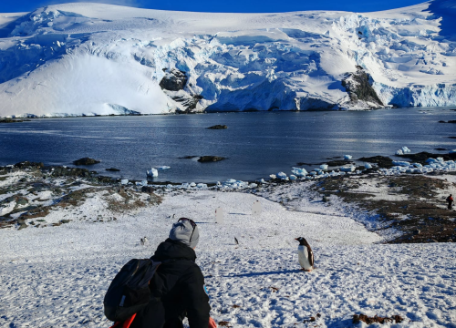 Fotografija 10 - Veliki Gogo na sedmom kontinentu: 'Ako bi Antarktiku trebao opisati riječima, osjećao bi se da abnormalno umanjujem doživljaj'