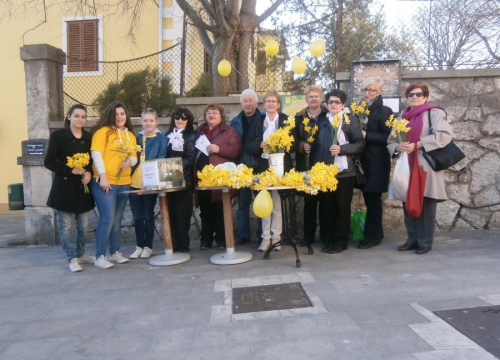 Dan narcisa u subotu u Drnišu: 'Podignimo svijest o prevenciji raka dojke'