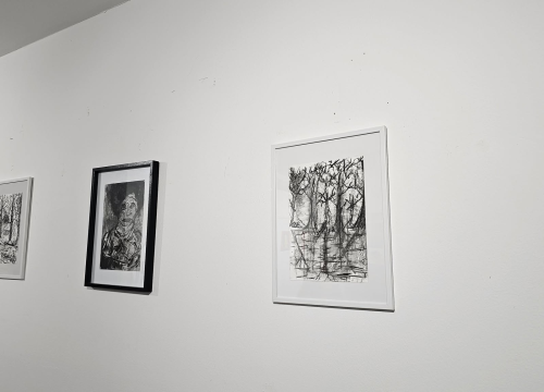 Fotografija 4 - Andrija Škugor osmogodišnji je umjetnik iz Šibenika