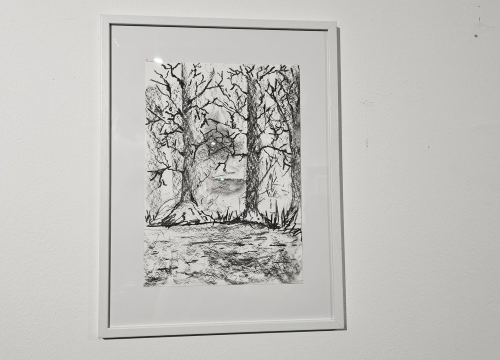 Fotografija 10 - Andrija Škugor osmogodišnji je umjetnik iz Šibenika