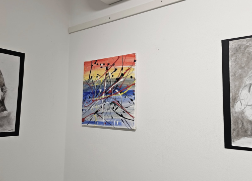 Fotografija 12 - Andrija Škugor osmogodišnji je umjetnik iz Šibenika