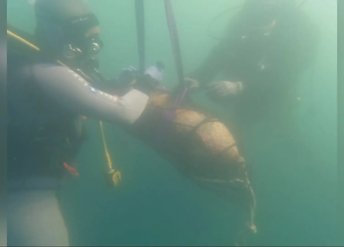 Fotografija 3 - Policijski ronioci kod Batižela iz mora izvlače dvije avionske bombe