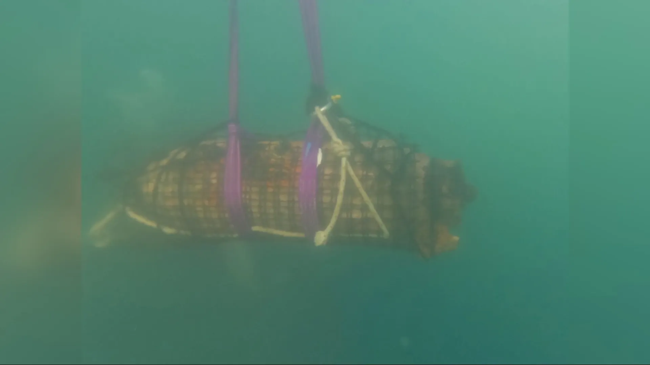 Kod Batižela izvučene dvije avionske bombe: 'S obzirom da su bile u dobrom stanju, prijetila je opasnost'