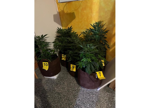 Fotografija 5 - FOTO U Vodicama pronađen improviziran laboratorij za proizvodnju droge, 'poduzetnik' priveden