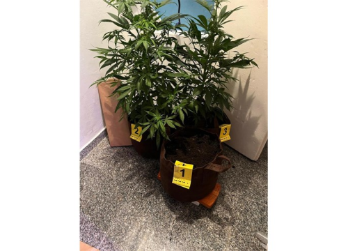 Fotografija 6 - FOTO U Vodicama pronađen improviziran laboratorij za proizvodnju droge, 'poduzetnik' priveden