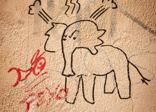 Fotografija 51 - Dolac – povijesna duša Šibenika s mediteranskim šarmom