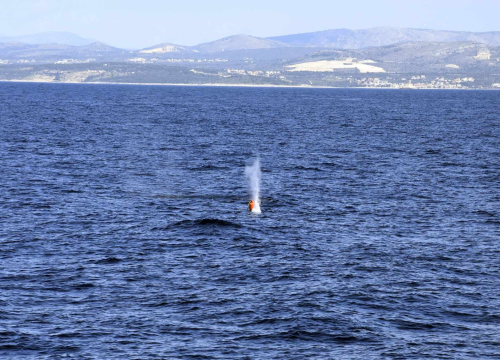Fotografija 19 - Vježbe na Žirju i Zečevu ojačale operativne sposobnosti Hrvatske ratne mornarice