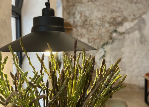 Fotografija 3 - FOTO Dani šparoga u Bavi