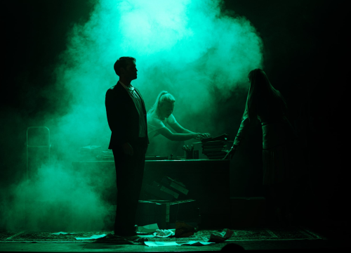 Fotografija 5 - 'Prigode beru jagode': Poslastica šibenskog HNK privukla velik broj zaljubljenika u kazalište