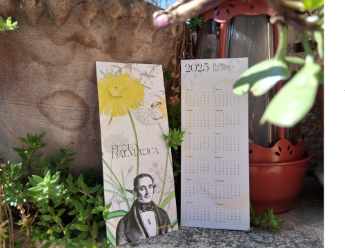 Predstavljanje instalacije 'Oblak riječi' i edukativne šetnje uz Krku