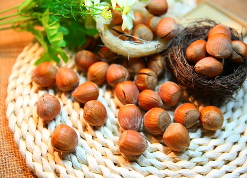 Lješnjak i bijela čokolada: Pripremite fini namaz za kolače ili palačinke