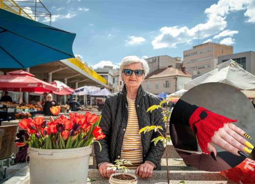 Radmilu na šibenskoj pijaci znaju kao 'ženu s tulipanima': 'Pijace su bile mjesto gdje bi se saznale sve tuge i radosti, a danas izumiru'