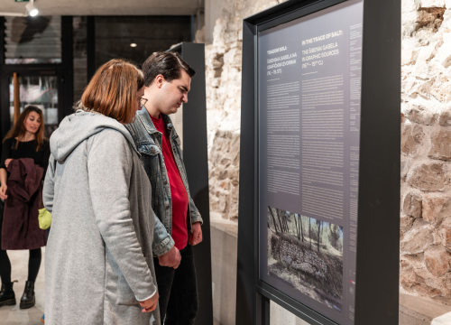 Fotografija 3 - Tragom soli i carinskih priča: Šibenik oživio povijest gabele znanstvenim skupom i izložbom