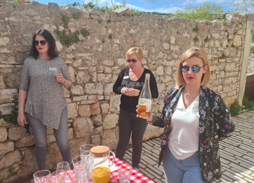 Fotografija 14 - Druženje poduzetnica na Zlarinu rezultiralo osnivanjem udruge 'Poduzetne Bodulice'