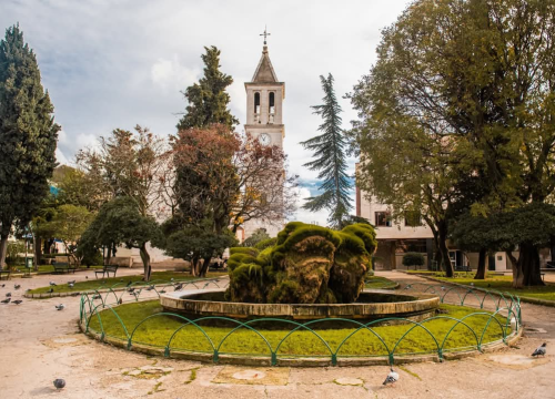 U znaku prirode i kulture: Udruga Mihovil organizira 'Zelenu turu Šibenikom'