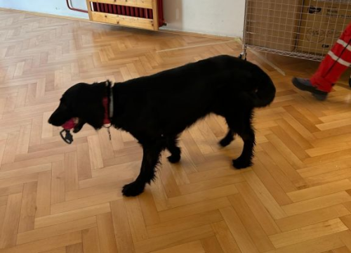 Fotografija 5 - HGSS-ovci u DV Vidici