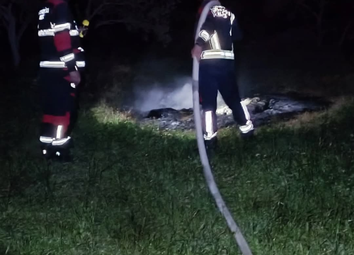 Fotografija 1 - Bilički vatrogasci u nedjelju navečer gasili požar u masliniku