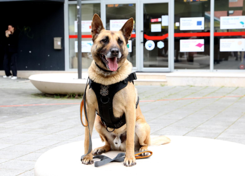 Fotografija 6 - Policajci danas u Šibeniku pokazali svoju 'moć'