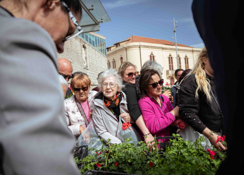 Fotografija 3 - Održana tradicionalna akcija podjele sadnica u Šibeniku