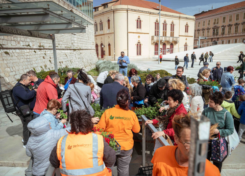 Fotografija 4 - Održana tradicionalna akcija podjele sadnica u Šibeniku