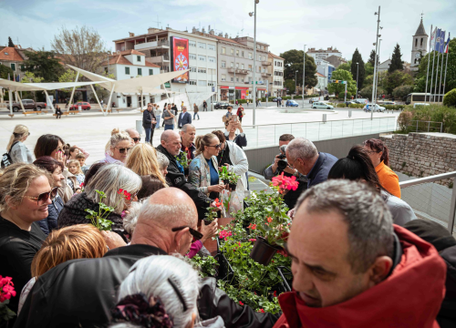 Fotografija 6 - Održana tradicionalna akcija podjele sadnica u Šibeniku