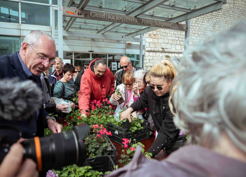 Fotografija 8 - Održana tradicionalna akcija podjele sadnica u Šibeniku