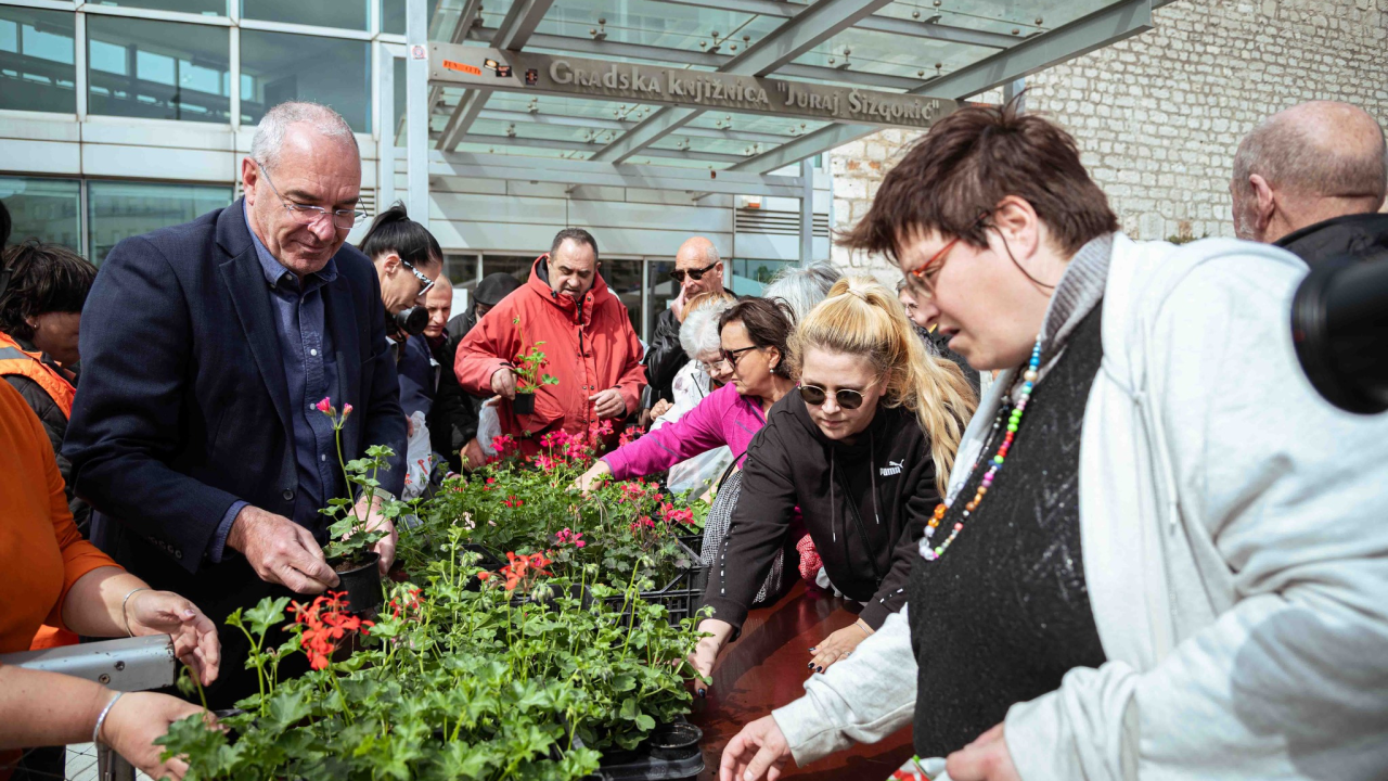 Održana tradicionalna akcija podjele sadnica u Šibeniku: Dvije tisuće đirana za ljepši grad