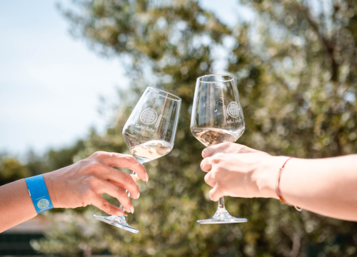 Dani otvorenih kušaonica: Uživajte u kušanju vina po promotivnim cijenama!