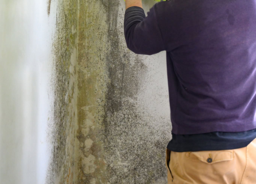 Fotografija 6 - FOTO Povećana vlažnost u prostoru: Reagirajte na vrijeme, od malih fleka na zidu do velikog problema!