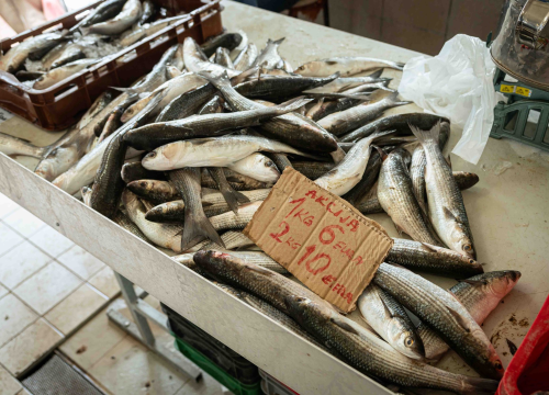 Fotografija 14 - Veliki petak na šibenskoj pijaci: Traži se meso i zelenje, na peškariji nema gužve