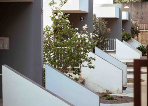 Fotografija 25 - Šubićevac – zelena oaza i srce šibenskog sporta