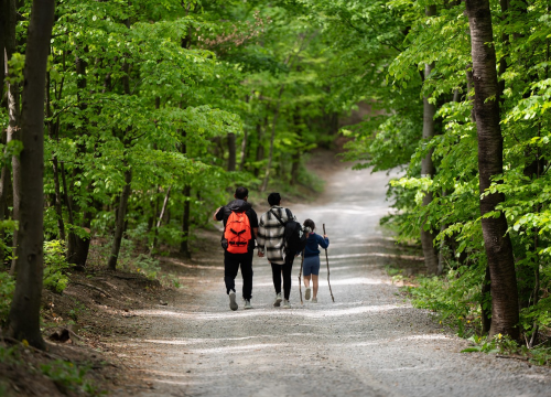 Roditelji koji rade ove tri stvari odgojit će samostalniju djecu