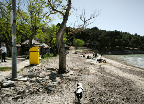 Fotografija 3 - Blagdansko sunce na Slanici najavilo početak predsezone