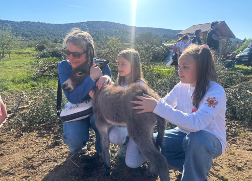 Učenici iz Crne Gore u sklopu terenske nastave posjetili Šibenik i Split