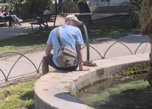 Turist u centru Šibenika iz fontane izvadio kornjaču i gazio po zelenoj površini