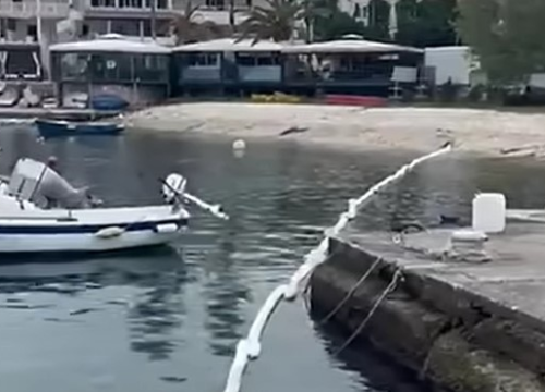 Ekološki incident na Hvaru: Tone goriva završile u moru