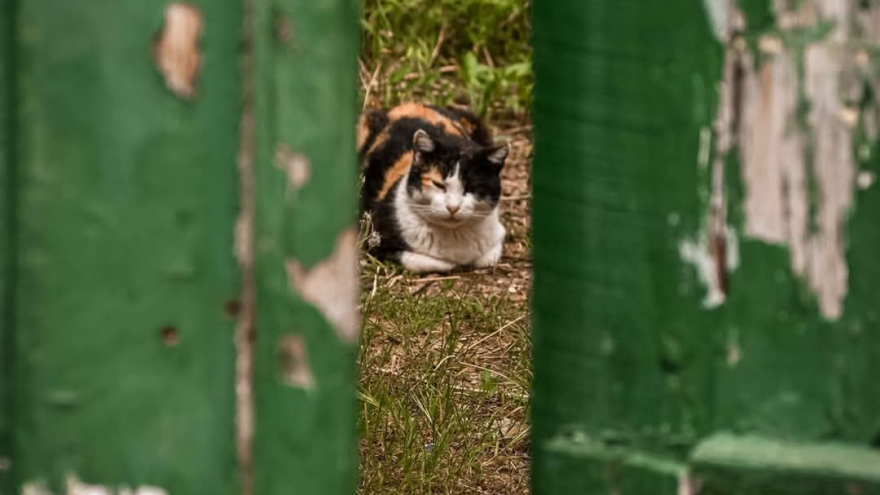 Građa – šibenski kvart između stare gradske jezgre i tvrđava