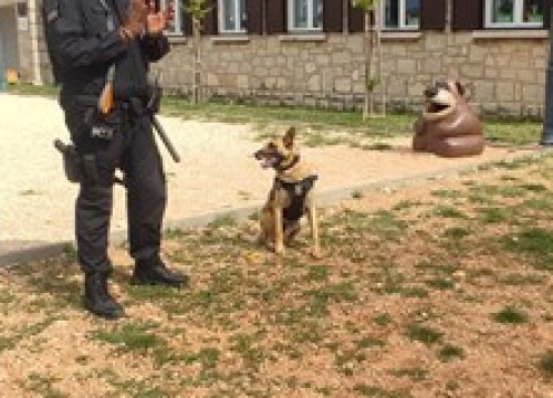 Fotografija 3 - Policijski službenici i njihov pas Tigar posjetili dječji vrtić u Radoniću