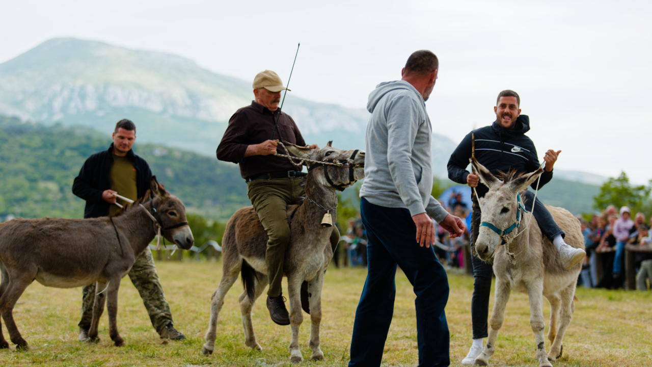 Trka magaradi i konja, kamena s ramena, šijanje, nogomet, balote - sve to na 68. Prominskim igrama