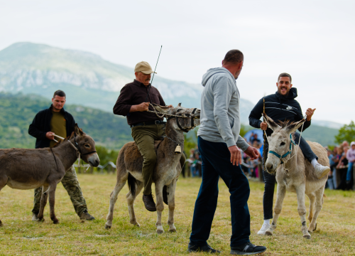 Trka magaradi i konja, kamena s ramena, šijanje, nogomet, balote - sve to na 68. Prominskim igrama
