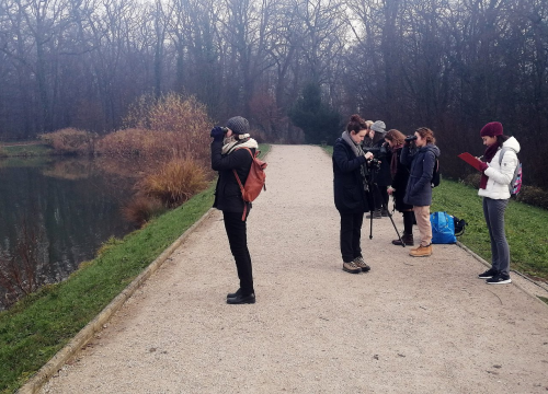 Festival Flora Dalmatica ulazi u završnicu, na rasporedu su posljednja događanja ovog izdanja