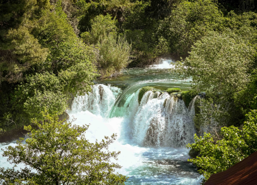 Fotografija 8 - FOTO Podijeljeno 1500 sadnica lavande, mirte i lovora: Akcija ‘Rastemo zajedno’ treću godinu zaredom u NP Krka