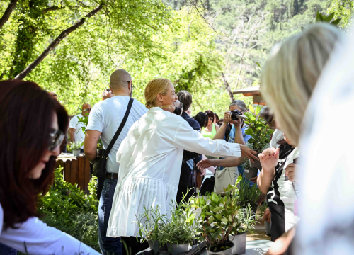 Fotografija 2 - FOTO Podijeljeno 1500 sadnica lavande, mirte i lovora: Akcija ‘Rastemo zajedno’ treću godinu zaredom u NP Krka