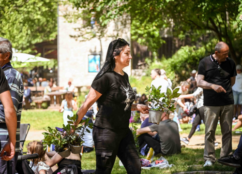 Fotografija 12 - FOTO Podijeljeno 1500 sadnica lavande, mirte i lovora: Akcija ‘Rastemo zajedno’ treću godinu zaredom u NP Krka