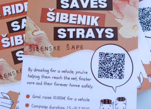 Fotografija 4 - Dobar start humanitarne akcije Šibenskih šapa na Krki