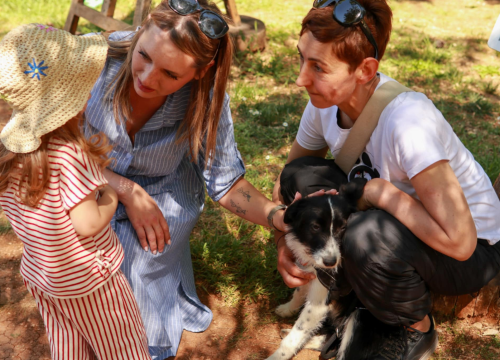 Volonteri, donacije i udomitelji: Dobar start humanitarne akcije Šibenskih šapa na Krki