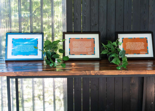 Fotografija 4 - The Garden festival izložbom obilježio 20 jubilej