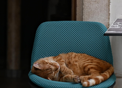 Fotografija 19 - Đir po gradu, subota 3. svibnja