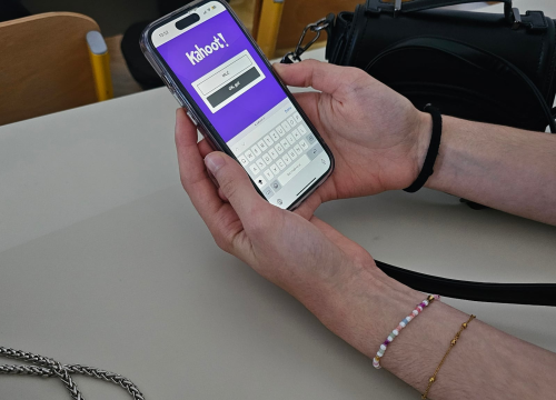 Fotografija 9 - Učenici šibenske Ekonomske škole sudjelovali na EPAS susretu škola Dalmacije